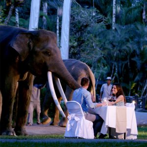 section-package-bottom-dinner-mason-elephant-safari-park-and-lodge