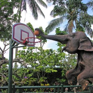 around the park - Mason Elephant Lodge