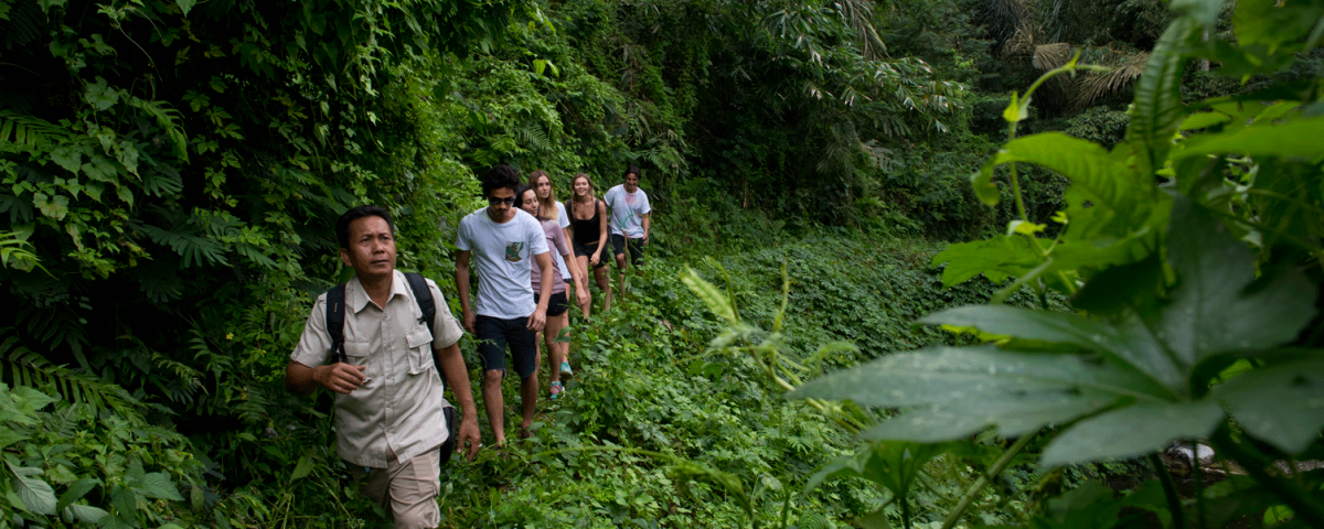 Off the Beaten Track for Some Tropical Trekking