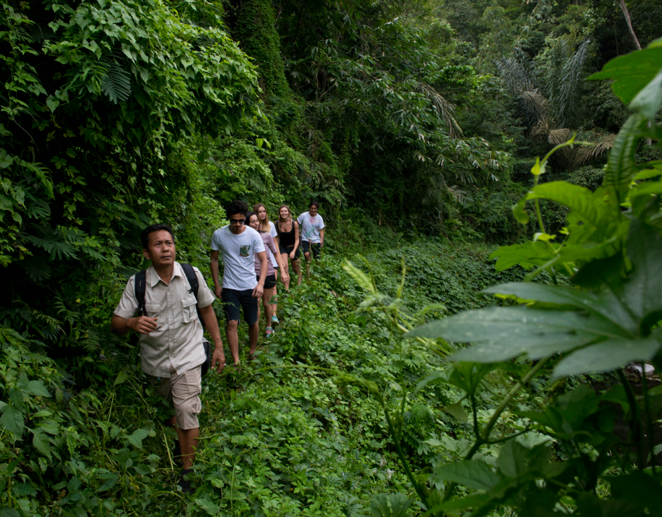 Off the Beaten Track for Some Tropical Trekking