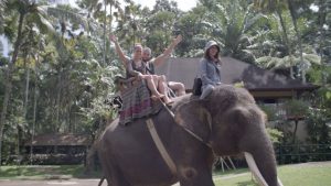 ELEPHANT-RIDES---THE-FACTS